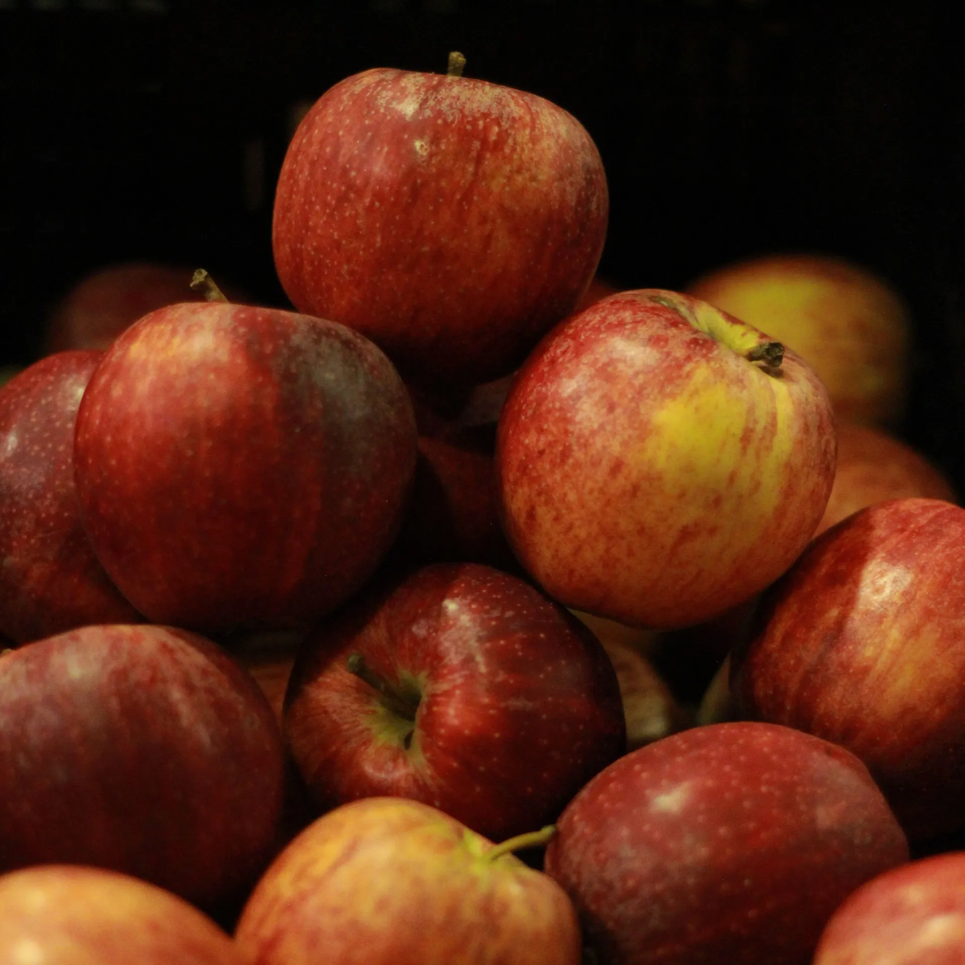 Applicious