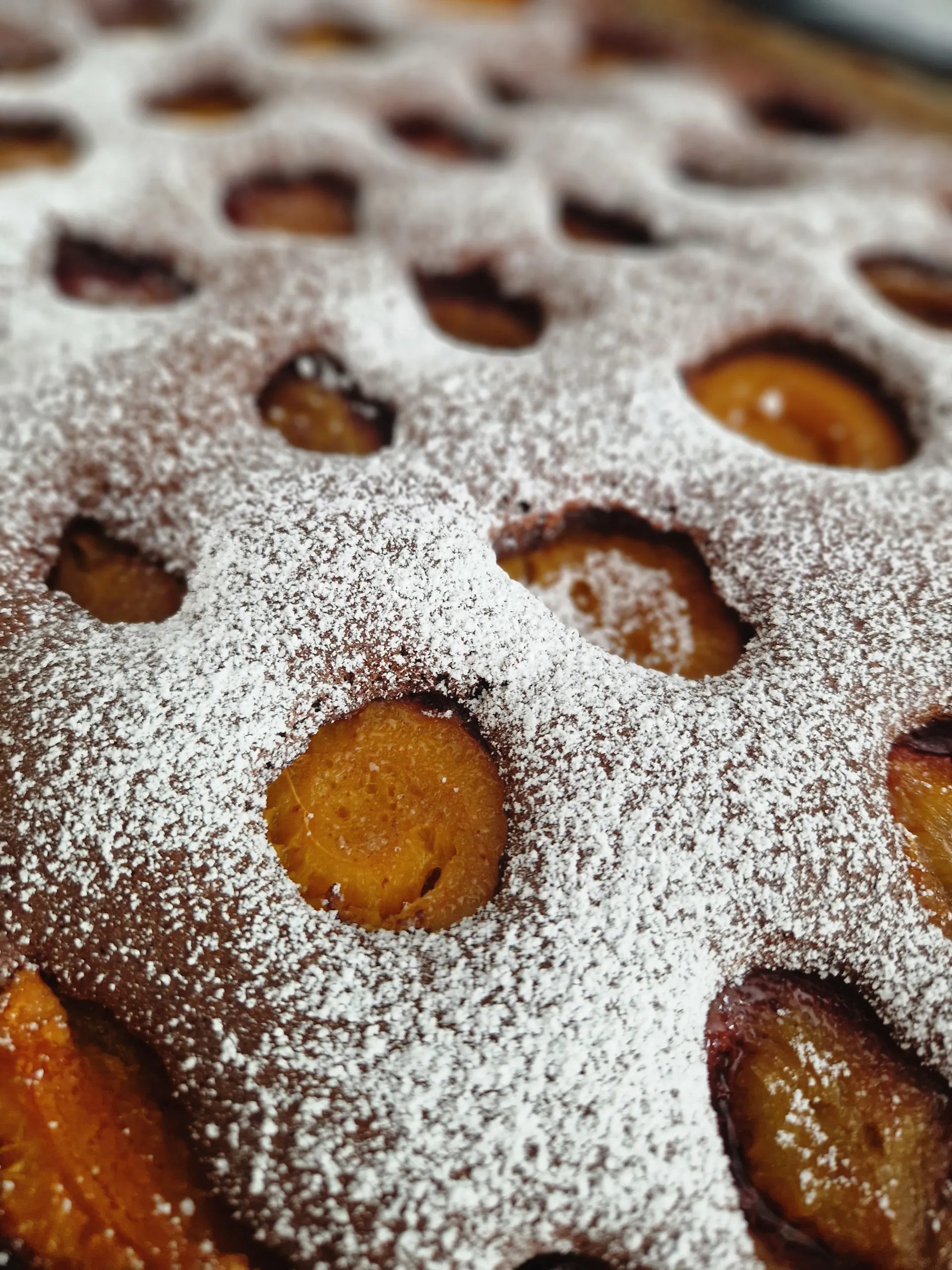 Marillen- oder Zwetschkenkuchen