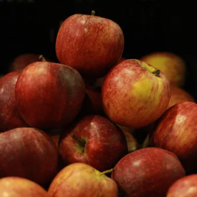 Avatar von Applicious